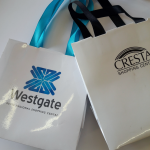 Comparison of luxury paper bags with turquoise and black satin ribbon handles and high-gloss finishes